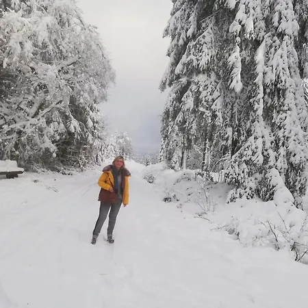 Eifel24, Neu, Modern Mit Dachterrasse Apartment