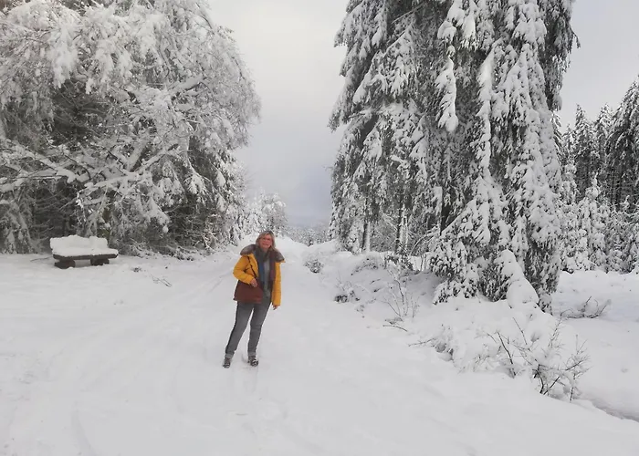 Eifel24, Neu, Modern Mit Dachterrasse Apartament